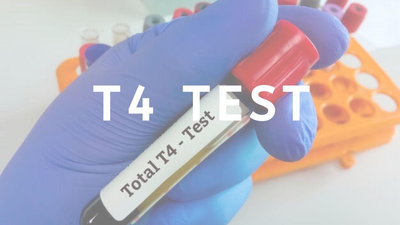 T4 Test